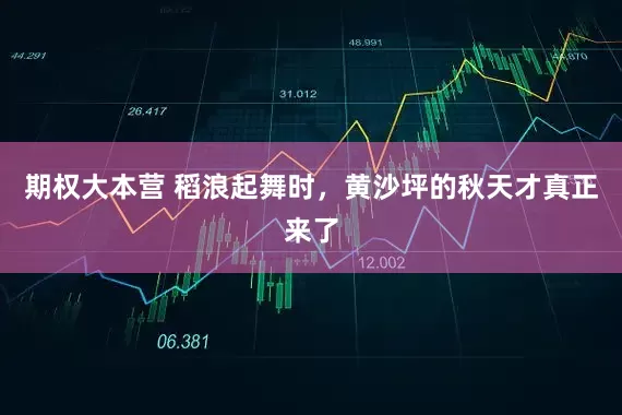 期权大本营 稻浪起舞时，黄沙坪的秋天才真正来了