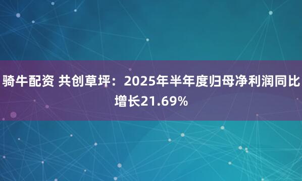 骑牛配资 共创草坪：2025年半年度归母净利润同比增长21.69%