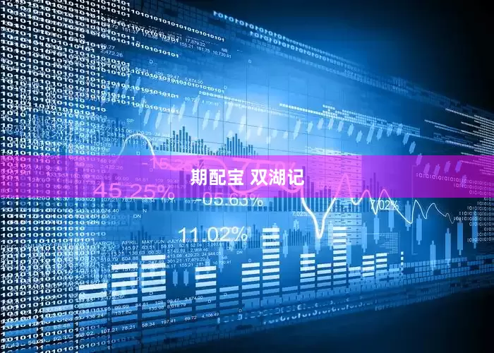 期配宝 双湖记