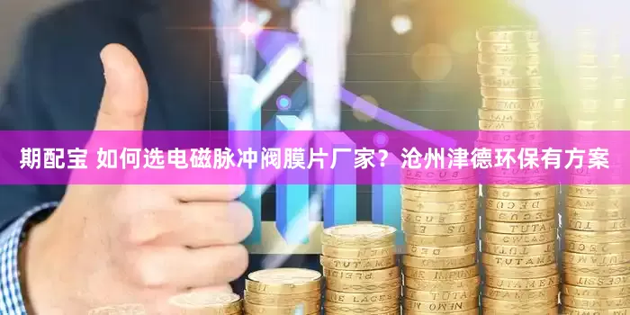 期配宝 如何选电磁脉冲阀膜片厂家？沧州津德环保有方案