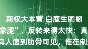 期权大本营 白鹿生图翻车被嘲“大象腿”，反转来得太快：真人瘦到肋骨可见，谁在制造身材焦虑？